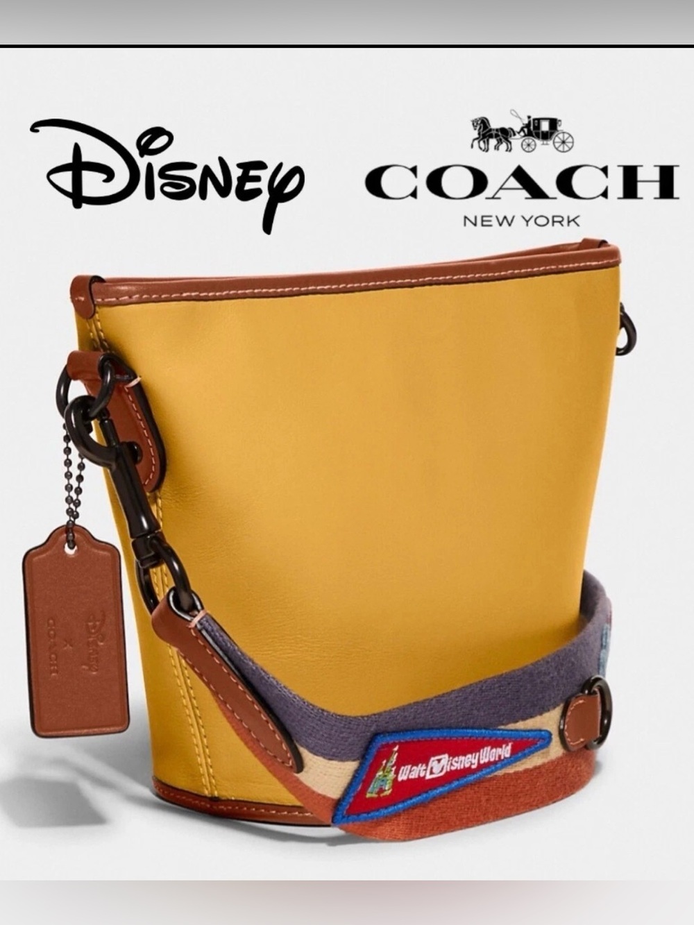 Coach x Disney Duffle 13 with patches 50th anniversary leather bag NWOT